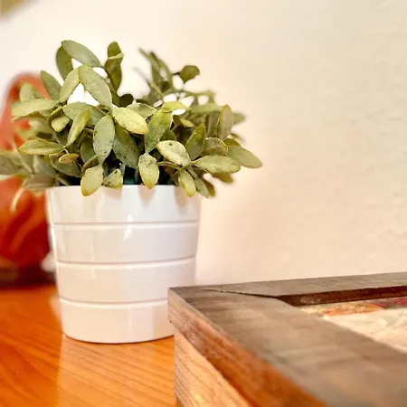 In Malaga With Sea And Mountain Views *